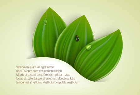 green background with leaves and grassのイラスト素材