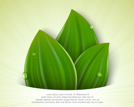 green background with leaves and grassのイラスト素材