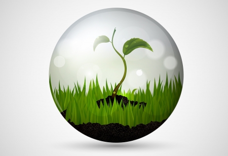 green grass and leaves in a bubble with patches of sunlightのイラスト素材