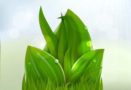 Green grass and leaves  summer and spring backgroundのイラスト素材