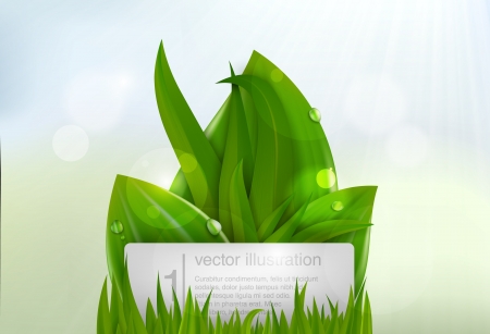 Green grass with a sign for textのイラスト素材