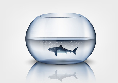 Aquarium with sharkのイラスト素材