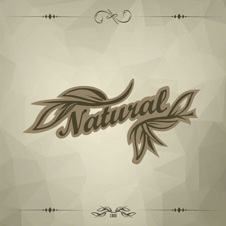 vintage triangular dark background concept of naturalのイラスト素材