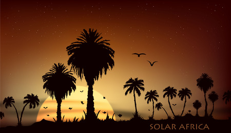 Sunsets and sunrises over the savanna with palm treesのイラスト素材