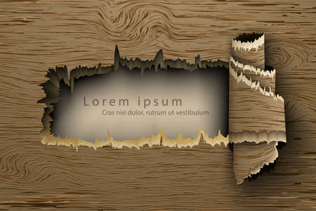 Template for the text from the wooden background with shadowsのイラスト素材