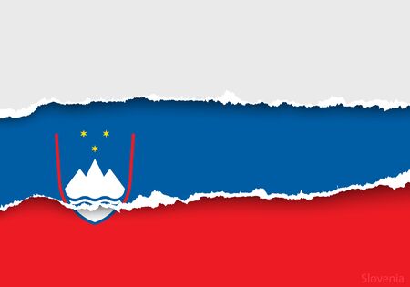 design flag from torn papers with shadowsのイラスト素材