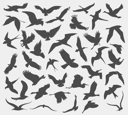 set of silhouettes of birdsのイラスト素材