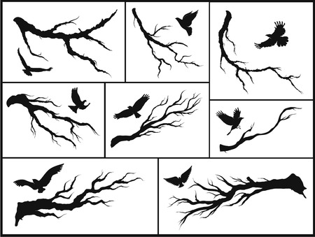 set of branches and birdsのイラスト素材