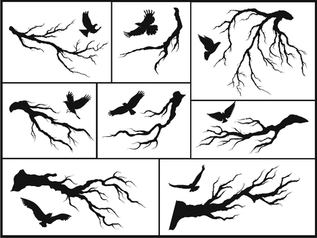 Set of branches and birdsのイラスト素材