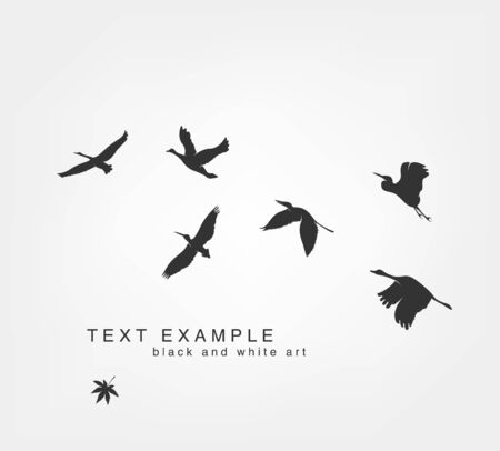 Dark figures flying birds on whiteのイラスト素材