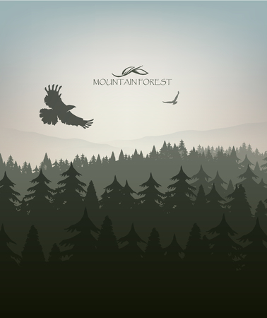 mountain forest in fog and eagleのイラスト素材