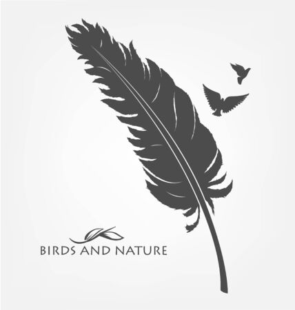 feather with flying flock of birdsのイラスト素材