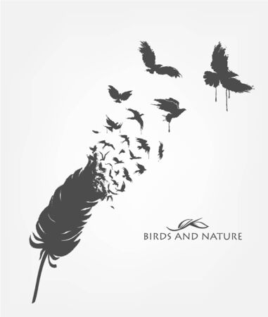 feather with flying flock of birdsのイラスト素材