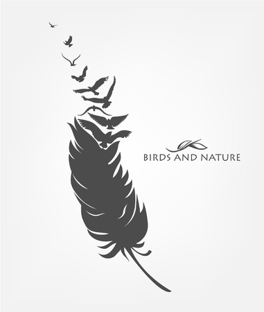 feather with flying flock of birdsのイラスト素材