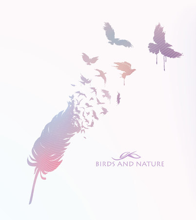 Colored feather with flying flock of birdsのイラスト素材