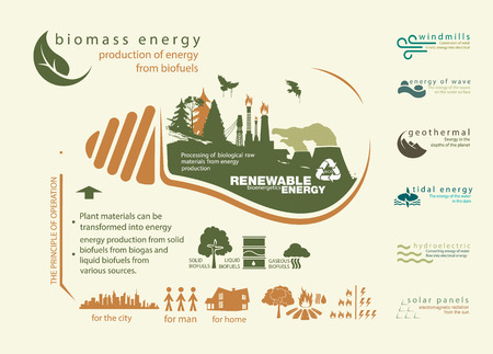 infographics renewable source of biomass energy and operationのイラスト素材
