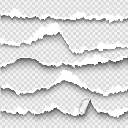 set of elements torn paper on transparent backgroundのイラスト素材