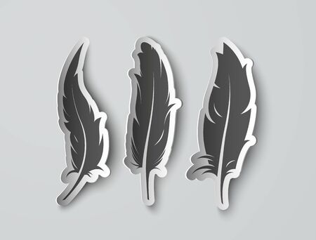 three set isolated paper feathers with shadowsのイラスト素材