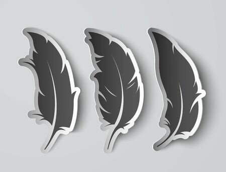 three set isolated paper feathers with shadowsのイラスト素材