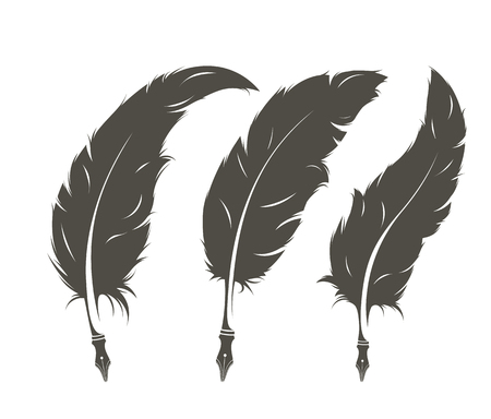 set of three isolated old feathers for writingのイラスト素材