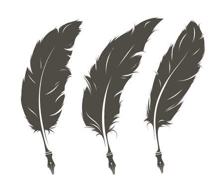 Set of three isolated old feathers for writingのイラスト素材