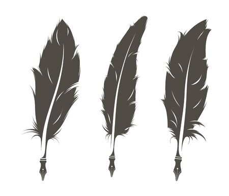 Set of three isolated old feathers for writingのイラスト素材