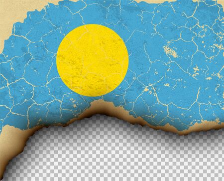 Element ripped Palau flag country templates torn paper burning.のイラスト素材