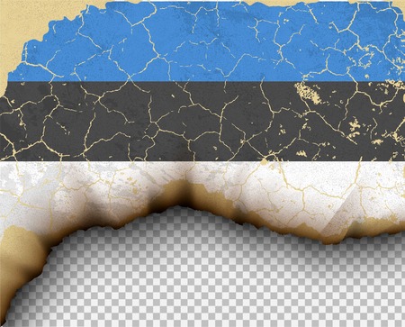 Estonia element ripped flag country templates torn paper burningの素材 [FY31098041804]