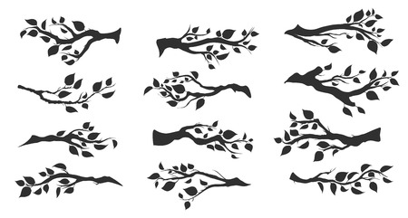 set of tree branches with leaves isolatedのイラスト素材