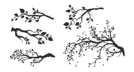 tree branches with leaves isolatedのイラスト素材