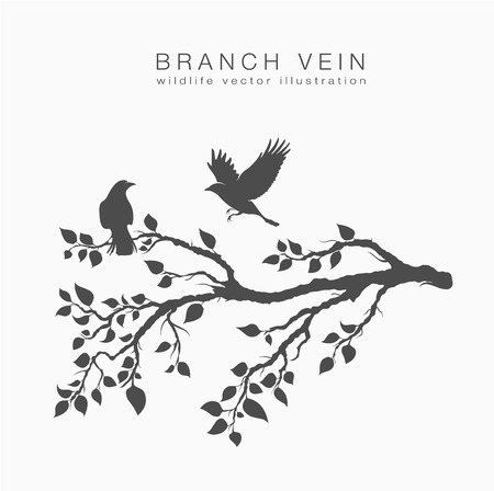 Flock of flying birds on tree branch tree with leafsのイラスト素材