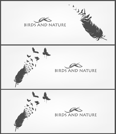 set of birds and feather banner vector Designのイラスト素材