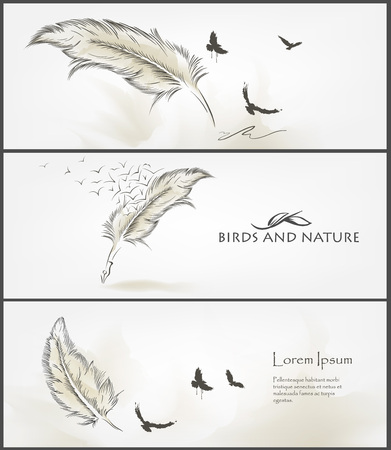 set of birds and feather banner vector Designのイラスト素材