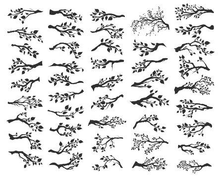 set of tree branches with leaves isolatedのイラスト素材