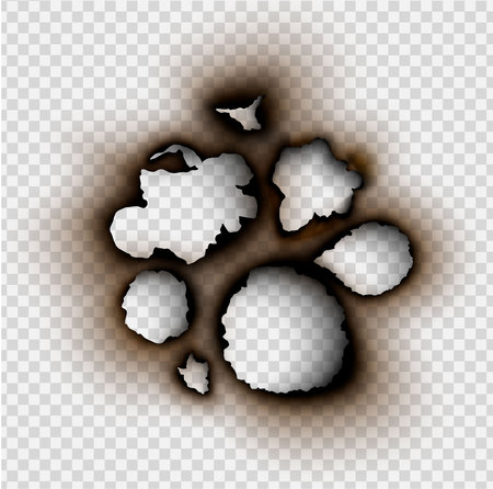 set Hole torn in ripped paper with burnt and flame on transparent backgroundのイラスト素材
