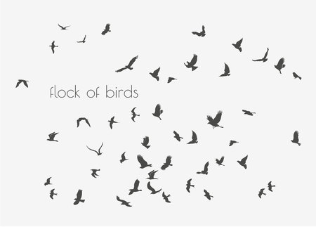 figures flock of flying birds on white backgroundのイラスト素材