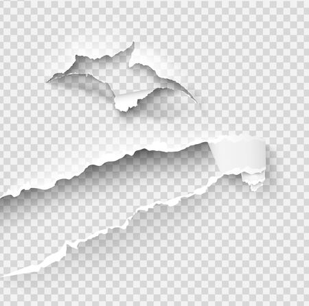 Torn ripped paper vector template, sides with ripped edges on realistic paper background. Ripped side set of banners for web and print and space for text.のイラスト素材