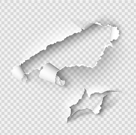 Torn ripped paper vector template, sides with ripped edges on realistic paper background. Ripped side set of banners for web and print and space for text.のイラスト素材