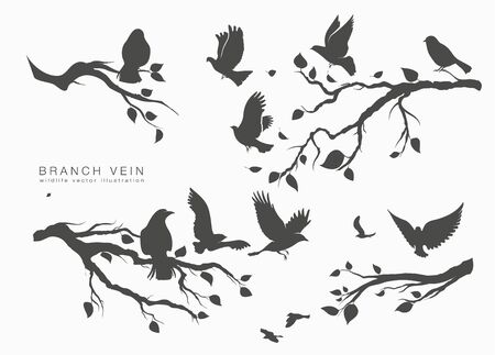 figure flock of flying birds on tree branchのイラスト素材