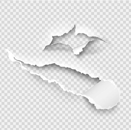 Torn ripped paper vector template, sides with ripped edges on realistic paper background. Ripped side set of banners for web and print and space for text.のイラスト素材