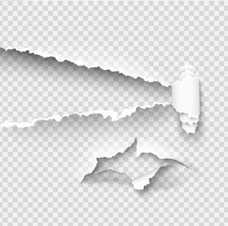 Torn ripped paper vector template, sides with ripped edges on realistic paper background. Ripped side set of banners for web and print and space for text.のイラスト素材