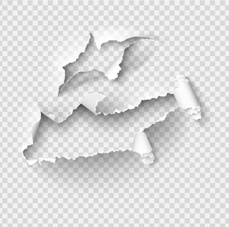 Torn ripped paper vector template, sides with ripped edges on realistic paper background. Ripped side set of banners for web and print and space for text.のイラスト素材