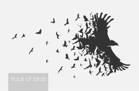 figures flock of flying birds on whiteのイラスト素材
