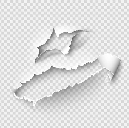 Torn ripped paper vector template, sides with ripped edges on realistic paper background. Ripped side set of banners for web and print and space for text.のイラスト素材