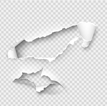 Torn ripped paper vector template, sides with ripped edges on realistic paper background. Ripped side set of banners for web and print and space for text.のイラスト素材