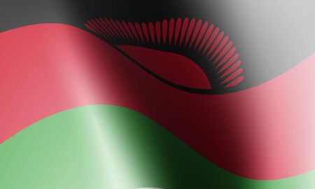 wave flag of country with shadow and glare in illustrationのイラスト素材