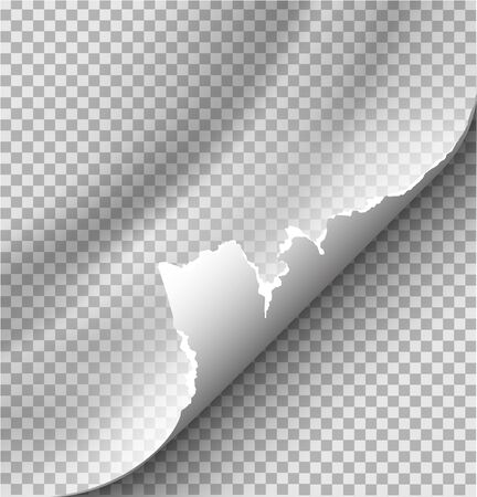 Page curl with shadow on blank sheet of paper for advertising and promotional message isolated on transparent backgroundのイラスト素材