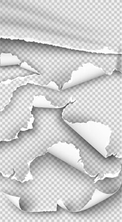set of elements torn paper on transparent backgroundのイラスト素材