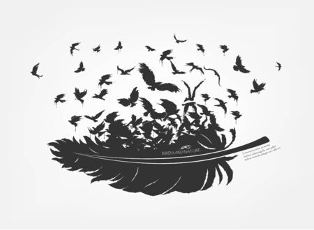 feathers with flying flock of fly birdsのイラスト素材