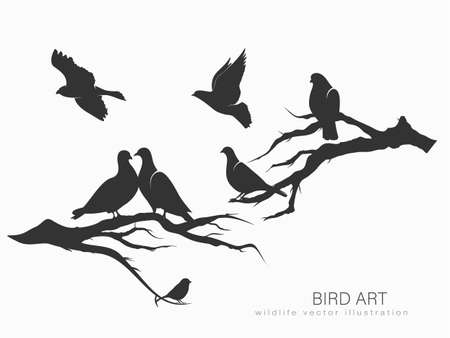 set of silhouettes of birds in motion on a white background. Vector illustrationのイラスト素材